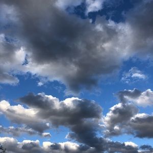 Meet your Posher, Carley